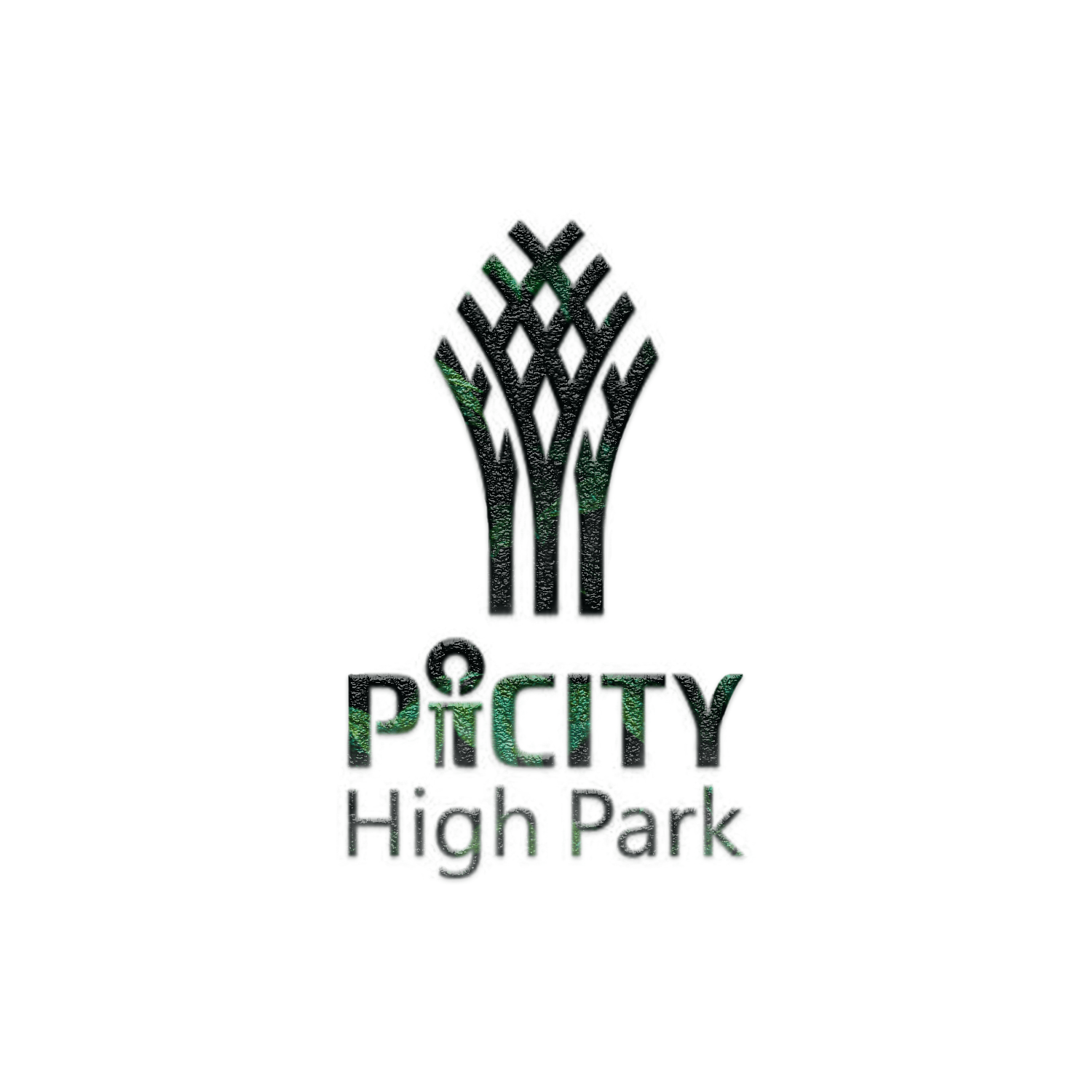 logo-Picity-new-2022