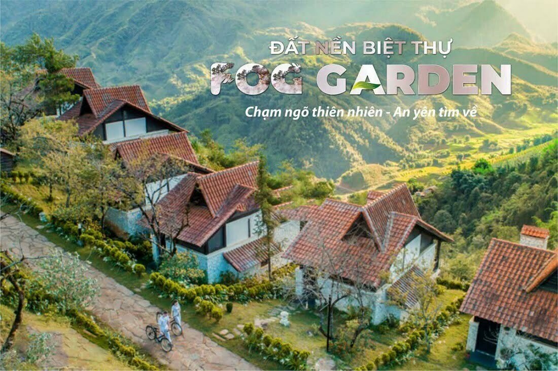 Read more about the article Fog Garden