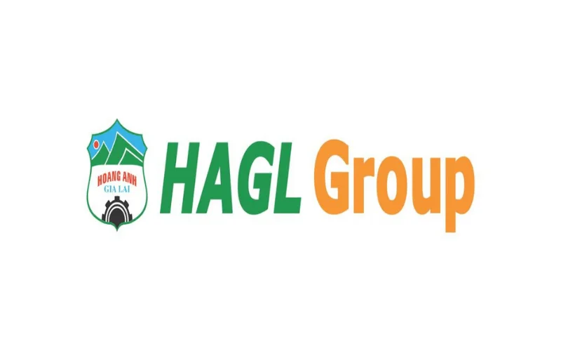 Logo Chủ đầu tư Hoàng Anh Gia Lai